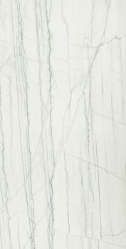 Italon Charme Advance Floor Project Platinum White Honed Satin Rect