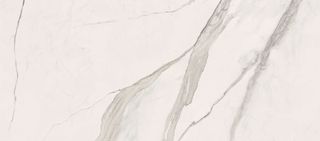 Gardenia (Versace) MaximVS Statuario White Lux Rett