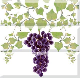 Absolut keramica Grapes Grapes 03 B Composicion