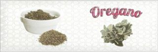 Absolut keramica Herbs Herbs Modern Oregano Decor
