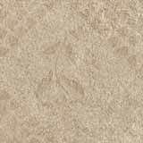 Polis Evolution Carpet Clay tozzetto