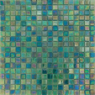 Alma mosaic Mosaic Musca