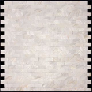 Natural Mosaic Shell SMA-04