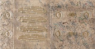 Natucer Pietra de Firenze Frontal Xove