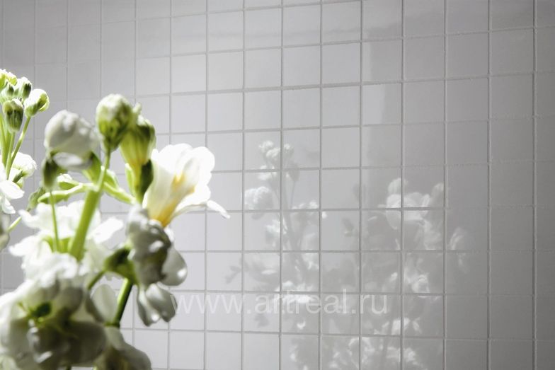 Atlas concorde Admiration Керамическая плитка Atlas concorde Admiration в интерьере