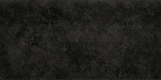 Gardenia (Versace) Palace Living Gold керамогранит Palace Riv. Black 008925 39.4*19.7