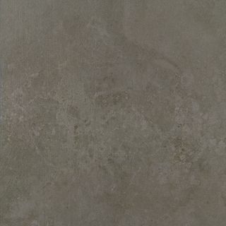 Apavisa Evolution керамогранит Moss Striato 60*60