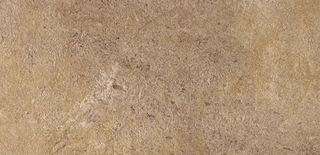 Gardenia Orchidea Absolute Stone керамогранит Noce Nat 30*60