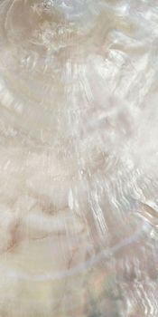 Настенная плитка Jutsu 120*240