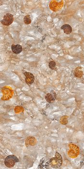 Настенная плитка Primitive 120*240