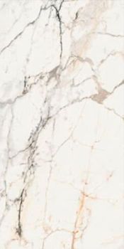 La Fabbrica Aesthetica керамогранит AE PAO6 12 RM 60*120