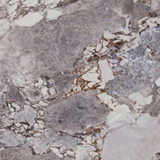 La Fabbrica Aesthetica керамогранит AE UNI6 120 RM 120*120