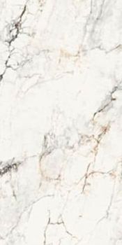 La Fabbrica Aesthetica керамогранит AE PAO6 260 LP 120*260