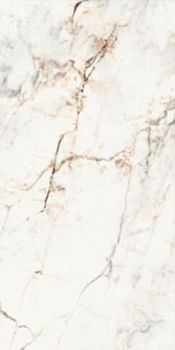 La Fabbrica Aesthetica керамогранит AE PAO6 12 LP 60*120