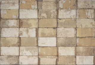 Cir & Serenissima Havana керамогранит Tropicana 20*40