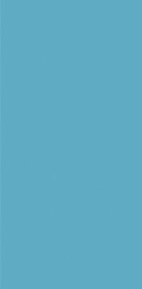 Floor gres Liscio SM напольная плитка Blu oceano M 12.5*25