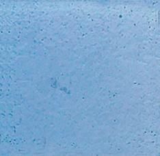 JNJ mosaic Iridium мозаика EA64 20*20