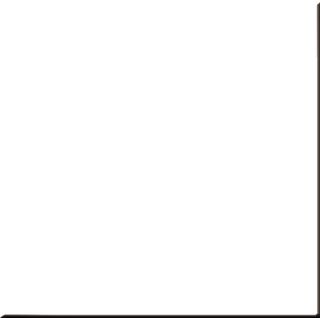 Estima Rainbow керамогранит RW 001 60*60