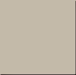 Estima Rainbow керамогранит RW 031 60*60