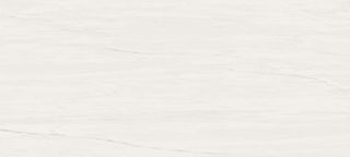 Настенная плитка Bianco Dolomite 50*120*8.5