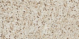 Керамогранит Terrazzo Mix Warm Lappato 30*60