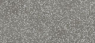 Настенная плитка Terrazzo Grey 50*110
