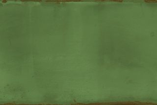 Iris Ceramica May настенная плитка Fern 10*20