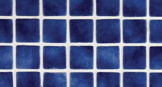 Ezarri Antislip мозаика 2562-B anti 49.5*31.3