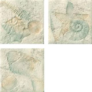 Marca corona Templi Fossili Beige S/1