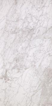 Casalgrande Padana Marmoker керамогранит Bardiglio Bianco Naturel 29.5*59