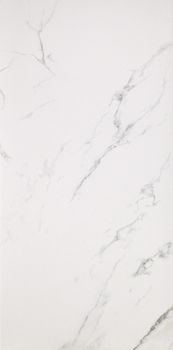 Casalgrande Padana Marmoker керамогранит Statuario Grigio Naturel 29.5*59