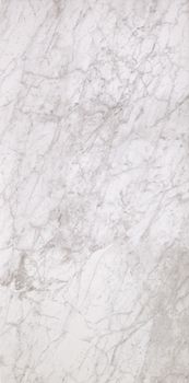 Casalgrande Padana Marmoker керамогранит Bardiglio Bianco Lucida 60*120*10