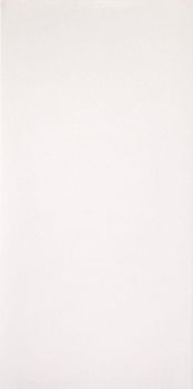 Casalgrande Padana Marmoker керамогранит Canova Honed 160*320*6