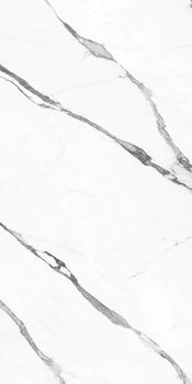 Casalgrande Padana Marmoker керамогранит Statuario Fine Honed Asp 120*278*6