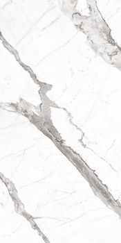 Casalgrande Padana Marmoker керамогранит Statuario Altissimo Honed Asp 120*278*6