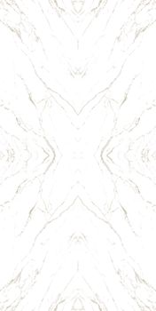 Casalgrande Padana Marmoker керамогранит Statuario Oro Honed B 120*278*6