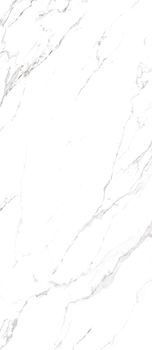 Casalgrande Padana Marmoker керамогранит Statuario Grigio Honed B 120*278*6