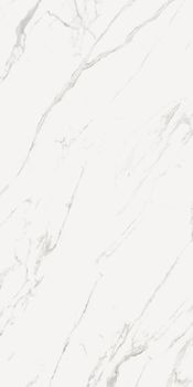 Casalgrande Padana Marmoker керамогранит Statuario Grigio Honed 120*278*6