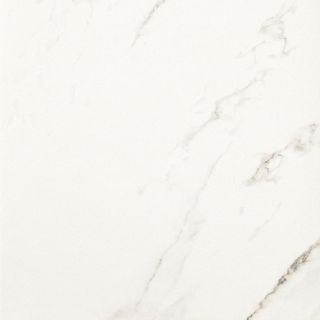 Casalgrande Padana Marmoker керамогранит Statuario Grigio Honed 60*60