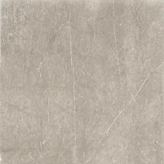 Cerdomus Mexicana керамогранит Silver Rett. 60*60