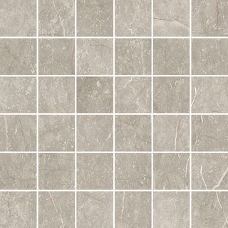 Cerdomus Mexicana мозаика Mosaico 4,7 Silver Lev. 30*30