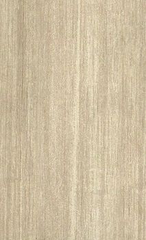 Marca corona Philosophy настенная плитка Acero 25*45