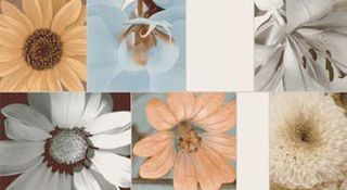 Peronda Catwalk декор 10883 HIBISCUS/59/R B-29 59*32