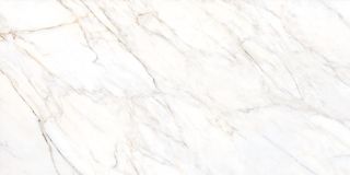 Museum Gioia керамогранит Silver/60X120/EP 60*120