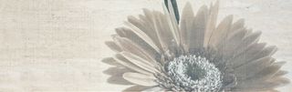 Aparici Ego декор Flower Decor-A BRILLO 75.6*25.1