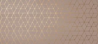 Декор Rose Hexagon 50*120