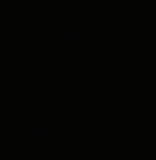 Petracers Capitonne вставка Tassello Liscio Nero 2*2