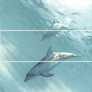 Kerama Marazzi Искья панно Ischia Dolphins Decorative Panel Rectified 75*75