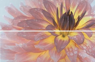 Kerama Marazzi Искья панно Ischia Flowers Decorative Panel Rectified 50*75