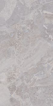 Kerama Marazzi Парнас керамогранит Parnassus Grey Rectified 40*80